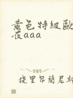 黄色特级欧美午夜aaa