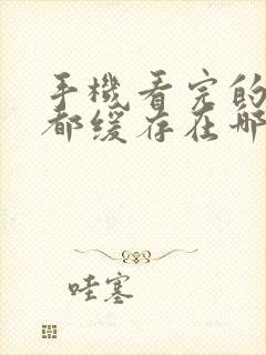 手机看完的视频都缓存在哪里