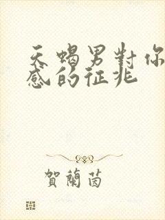 天蝎男对你有好感的征兆