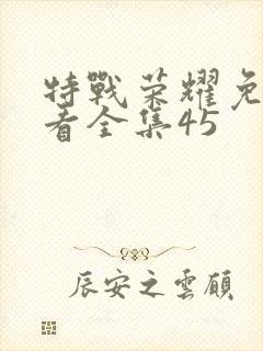 特战荣耀免费观看全集45