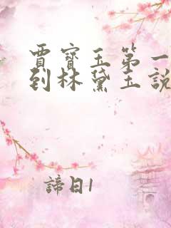 贾宝玉第一次见到林黛玉说了什么