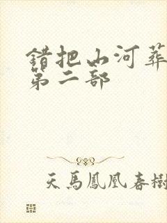 错把山河葬相思第二部