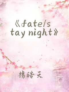 《fate/stay night》