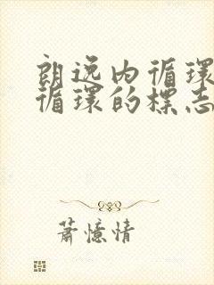 朗逸内循环和外循环的标志