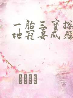 一胎三宝总裁爹地宠妻成瘾