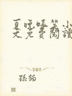 夏晚哑笑小说全文免费阅读最新章节