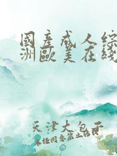 国产成人综合亚洲欧美在线