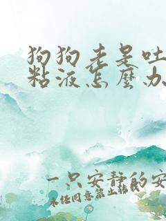 狗狗老是吐白色粘液怎么办