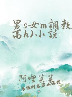 男s女m调教(高h)小说