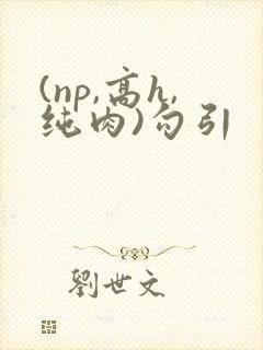 (np,高h,纯肉)勾引