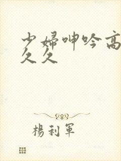 少妇呻吟高潮久久久