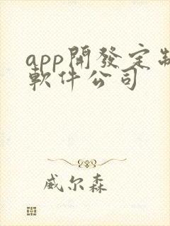 app开发定制软件公司