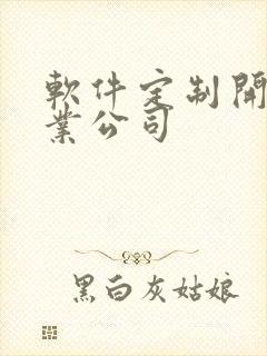 软件定制开发专业公司