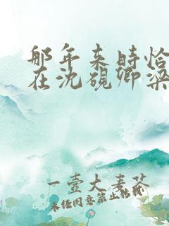 那年来时恰逢你在沈砚卿梁明昭全集阅读