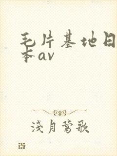 毛片基地日韩版本av