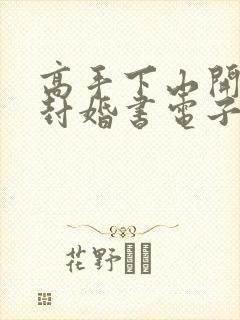 高手下山开局九封婚书电子书