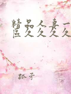 精品人妻一区二区久久久久