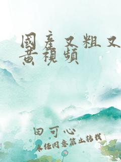 国产又粗又爽的黄视频