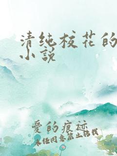 清纯校花的日常小说