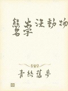 熊出没动物全部名字