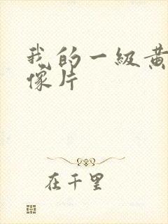 我的一级黄色录像片