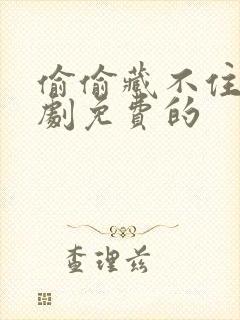 偷偷藏不住电视剧免费的