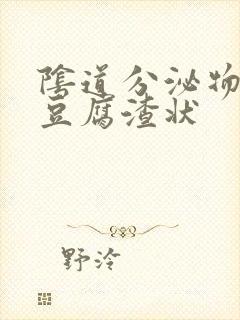 阴道分泌物黄色豆腐渣状