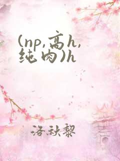 (np,高h,纯肉)h
