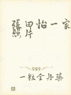 张田怡一家三口照片