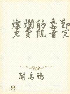 灿烂的季节全集免费观看完整版