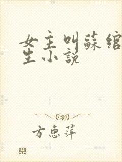 女主叫苏绾的重生小说