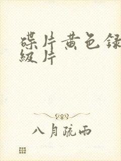 碟片黄色录像一级片