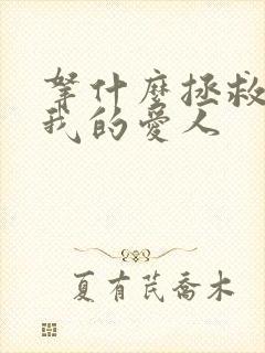 拿什么拯救你,我的爱人