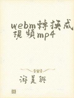 webm转换成视频mp4