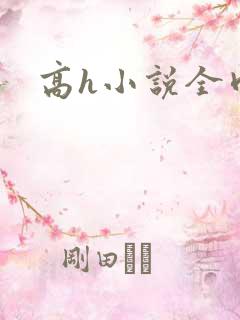 高h小说全肉