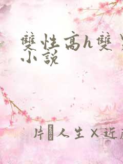 双性高h双男主小说