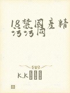 18禁国产精品污污网