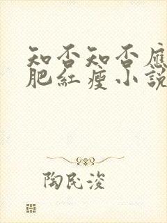 知否知否应是绿肥红瘦小说是穿越吗