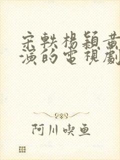 宋轶杨颖黄轩主演的电视剧