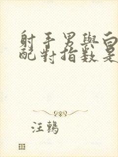 射手男与白羊女配对指数是多少