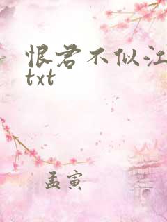 恨君不似江楼月txt