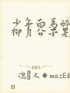 少年白马醉春风柳月公子是谁