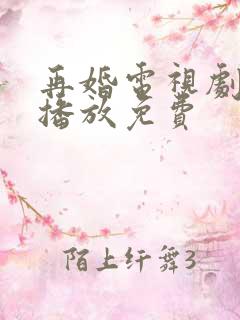 再婚电视剧全集播放免费