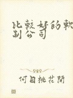 比较好的软件定制公司