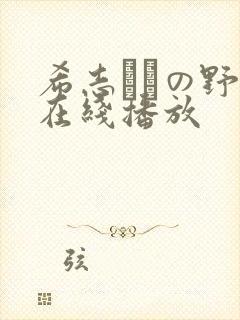 希志あいの野外在线播放