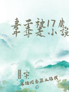 妻子被17岁少年夺走小说免费阅读