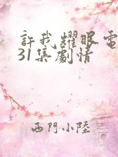 许我耀眼电视剧31集剧情