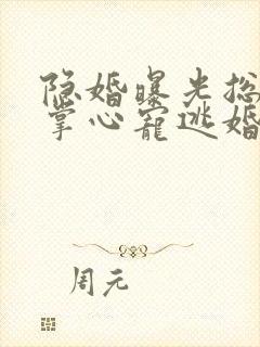 隐婚曝光总裁的掌心宠逃婚了