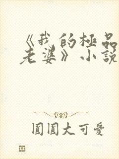 《我的极品美女老婆》小说