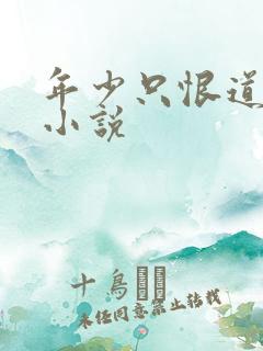 年少只恨道缘浅小说